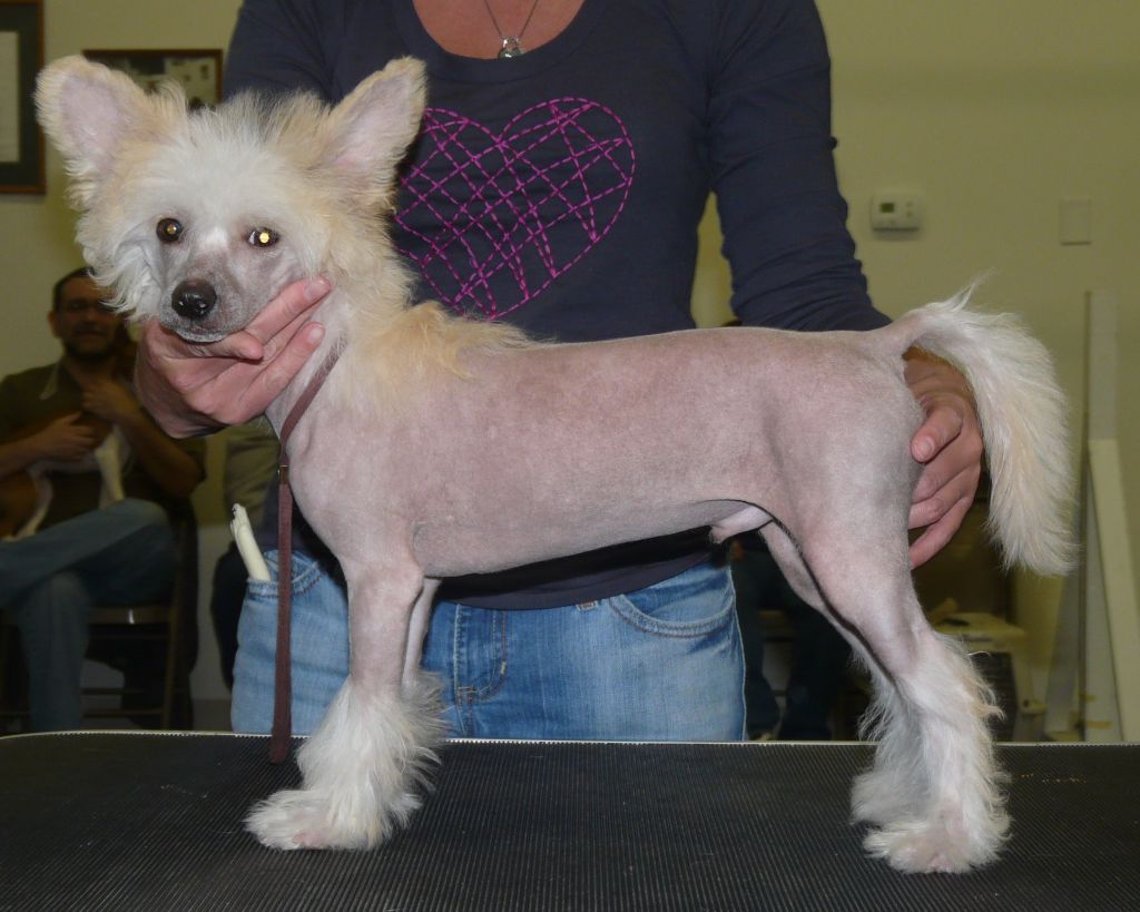 Kameo's Rock N' Roll