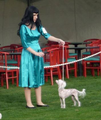 Shida Death Rides a Pale Horse