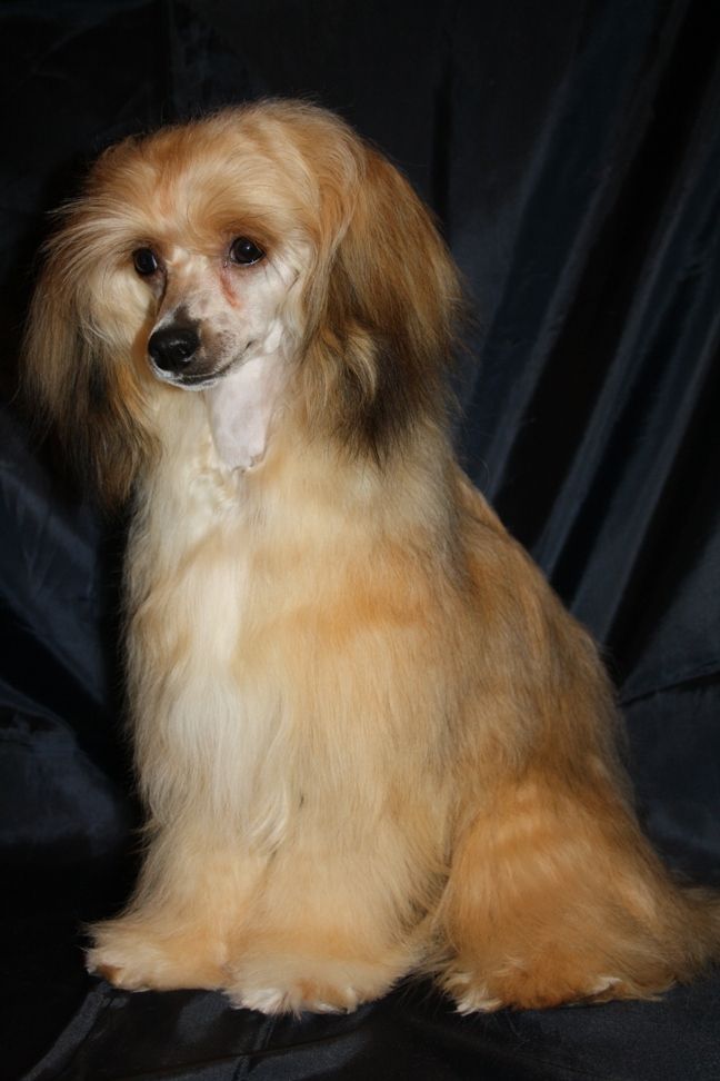 Milashka ot Lyali Beloy