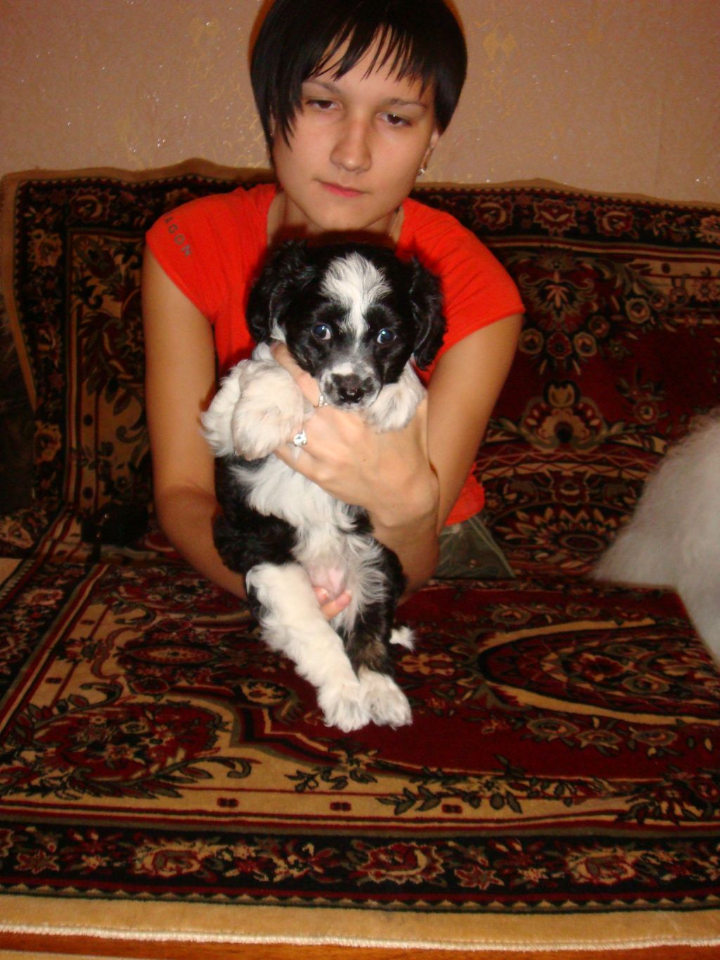 Zhene La Vi s Gostinogo Dvora