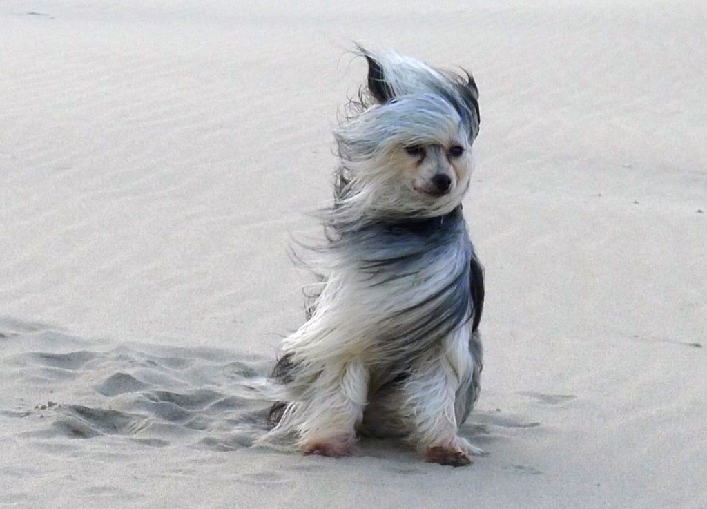 First Time Kiss of Angel's Legacy