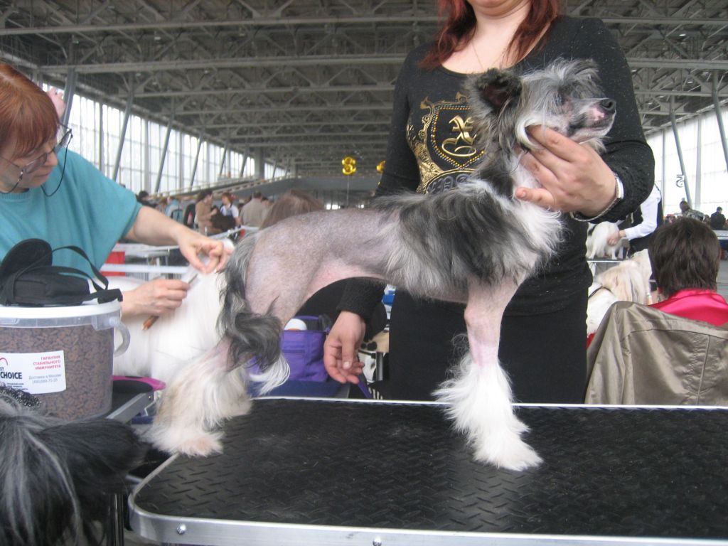 Combination Love La Vendjes