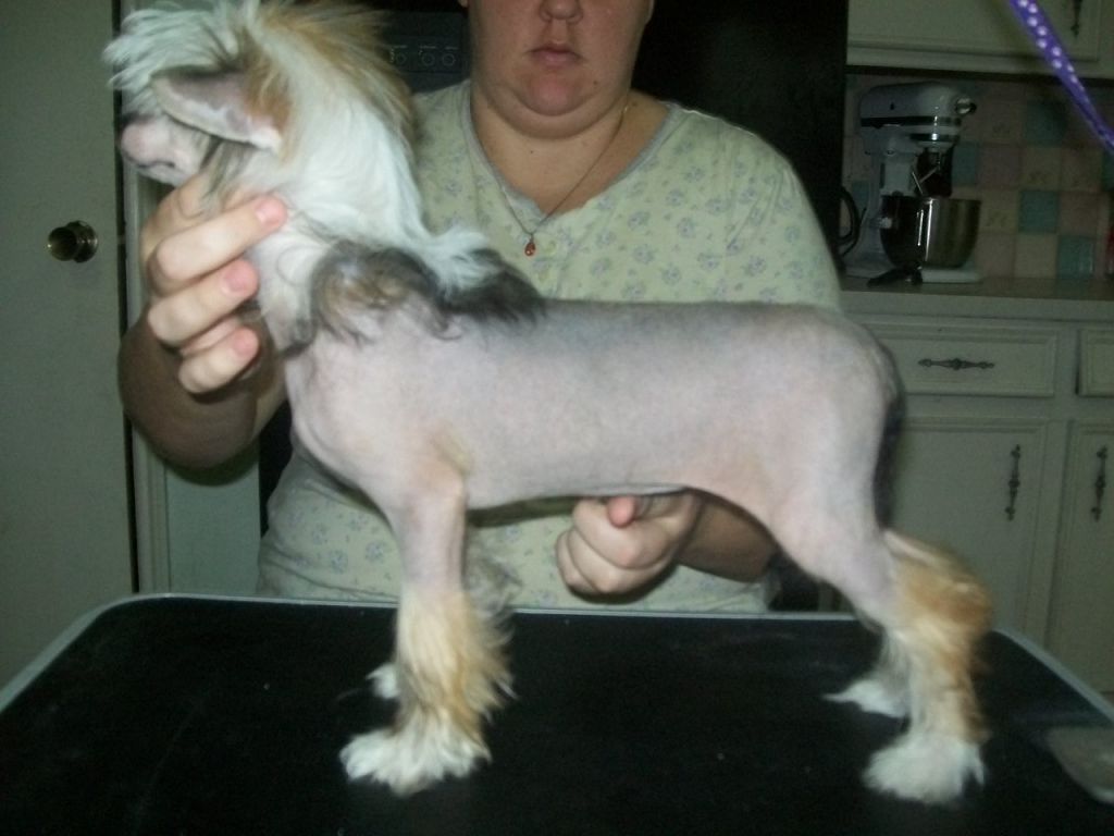 Flash Mi's Claire Bear