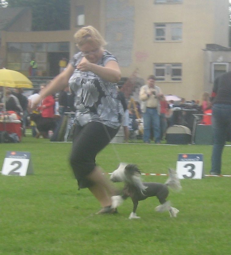 Hecaron Cixi Huang Yu