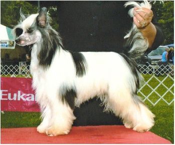 Bodeswell Take a Chance