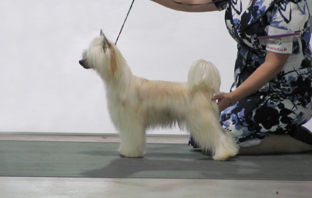 Bodeswell Doc Holiday