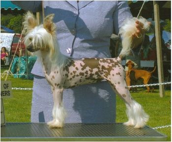 Bodeswell Almost A Rumour