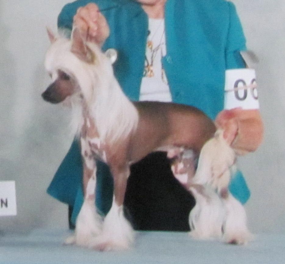 Bodeswell My Funny Valentine