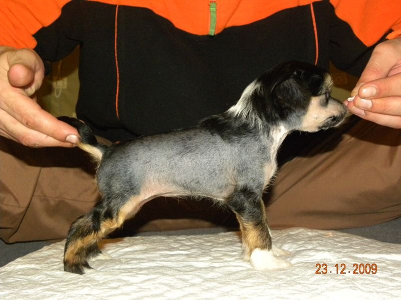 Stars at Sea Jealous of You