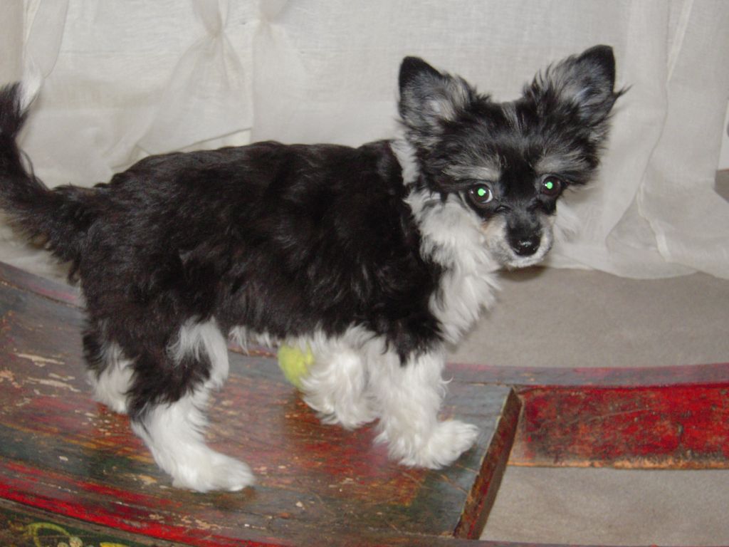 Ell Boy Du Coeur Des Tenebres