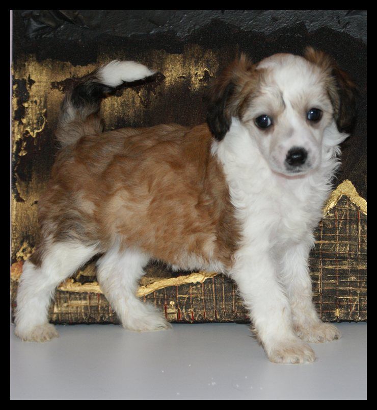 Equinoxe Du Coeur Des Tenebres