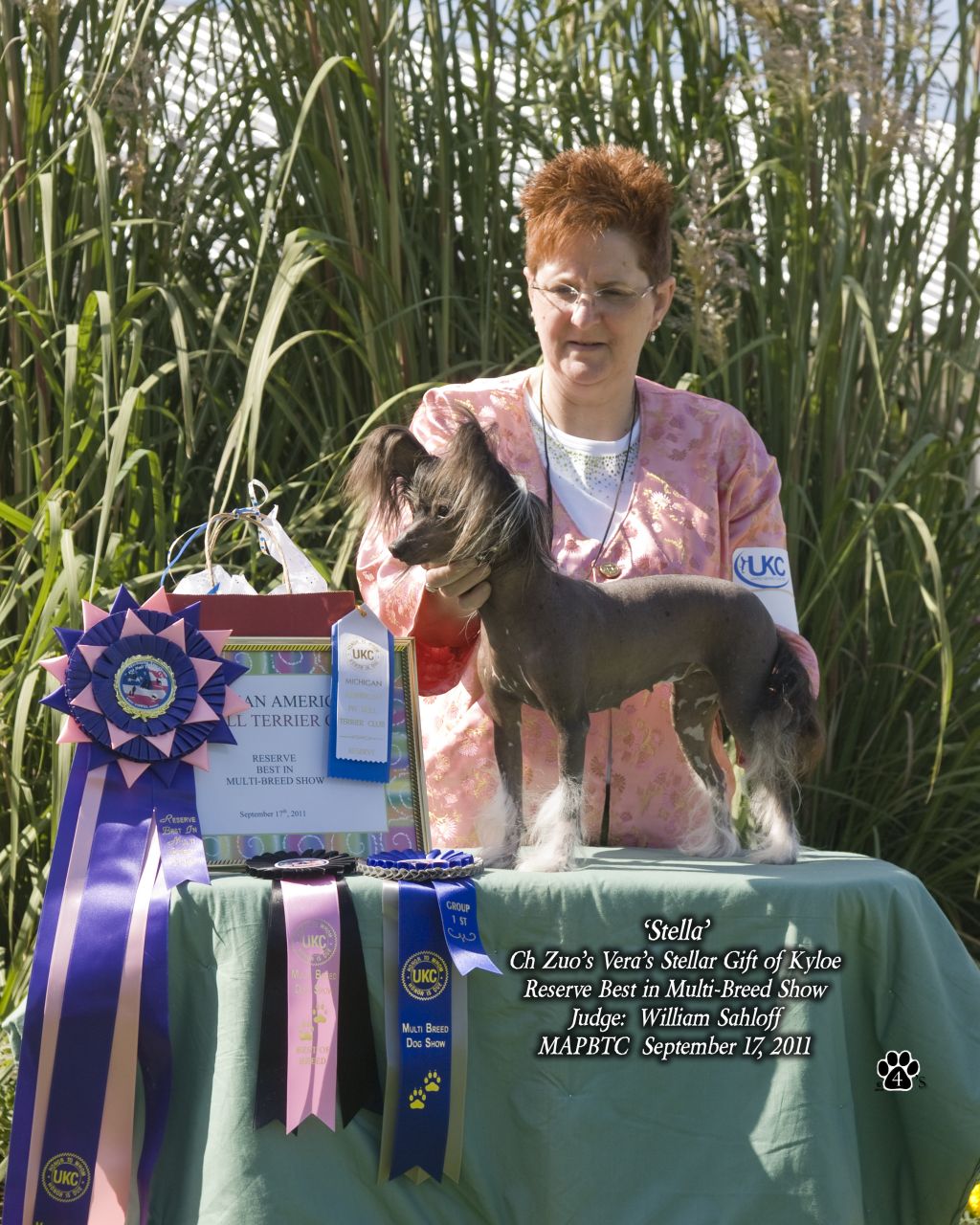 Zuo's Vera's Stellar Gift of Kyloe