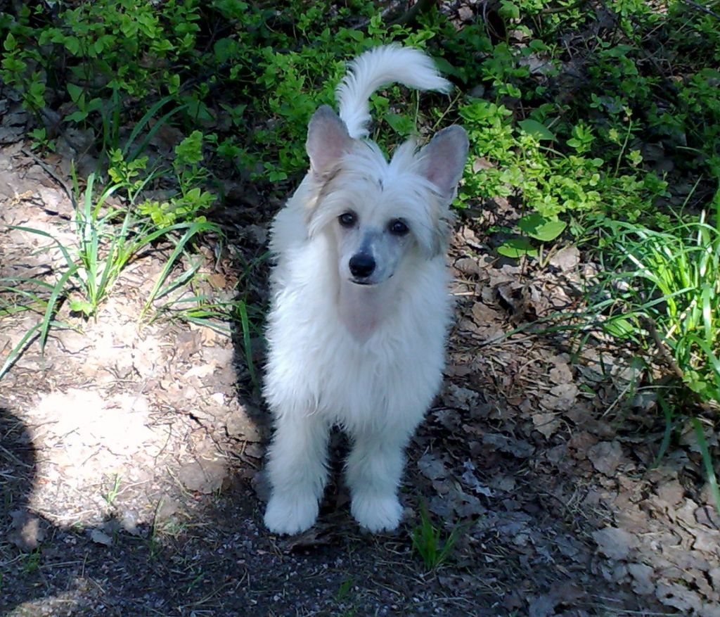 Aquacrest I'll Sue You