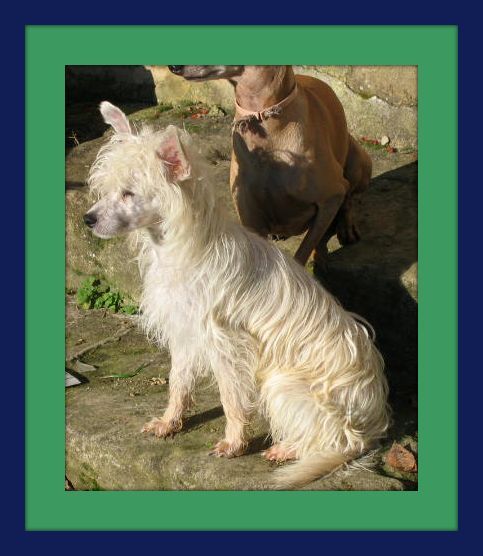 donu'ut veico du soleil levant de lastreche