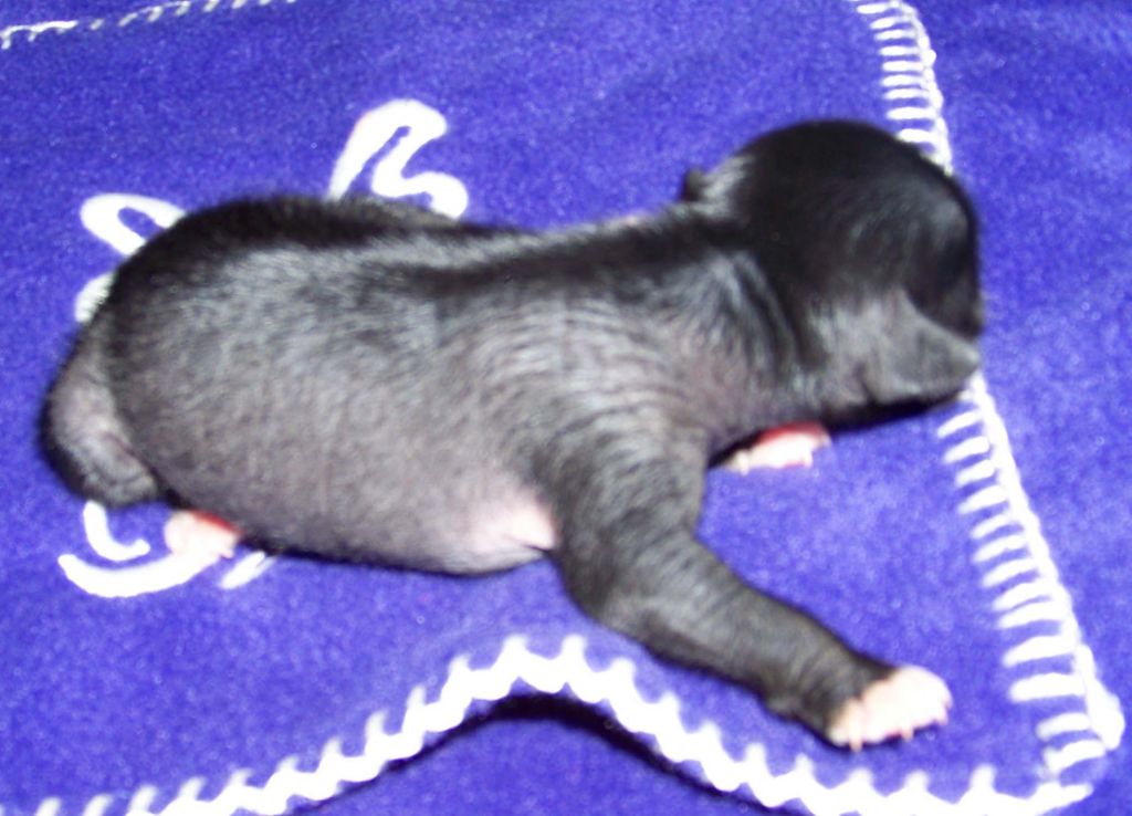 Spiritual Rachael For B'Juled