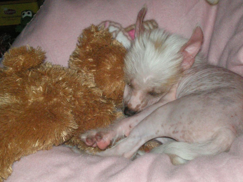 Bibiane Jay Darydakles