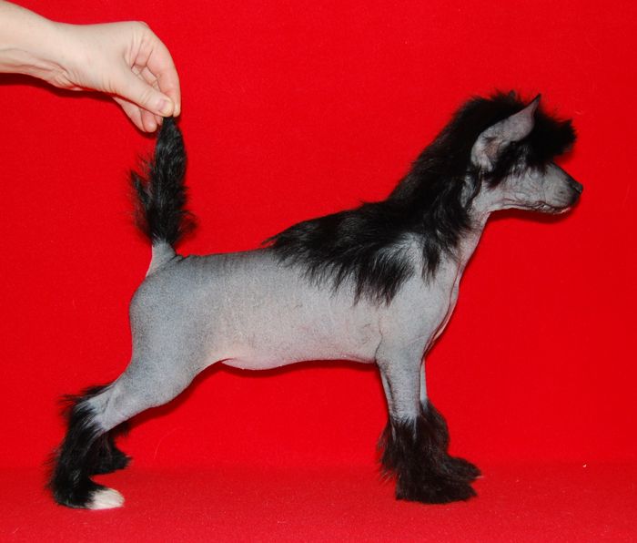 Volshebnaja Loshadka Look At Me