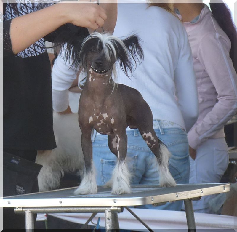 Fundoklia-völgyi Kaszanics E' Hungaricum