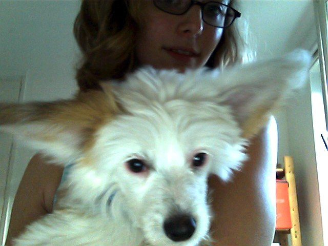 Angel Of Rainbow's Ad Infinitum