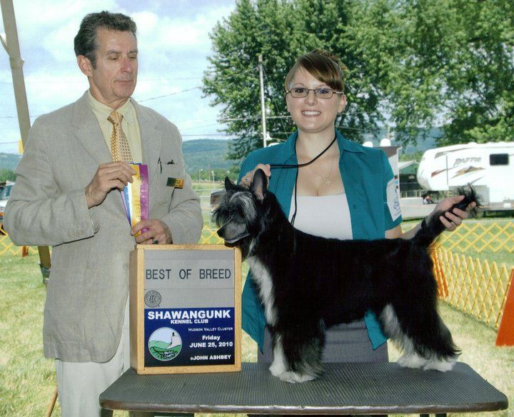 Jewels Mountain Rain