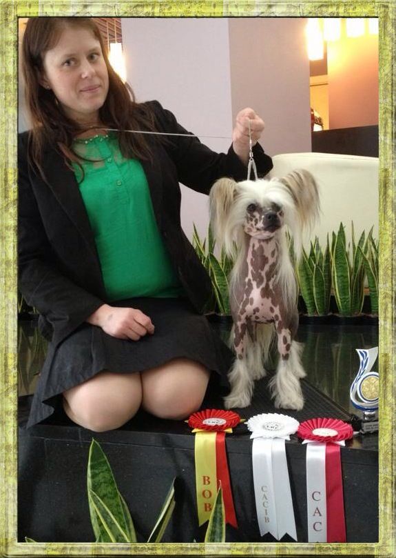 Nomilas Keep The Diva In Charge