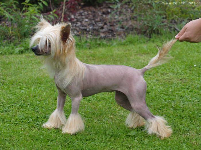 Tamika ze Zatopené chajdy