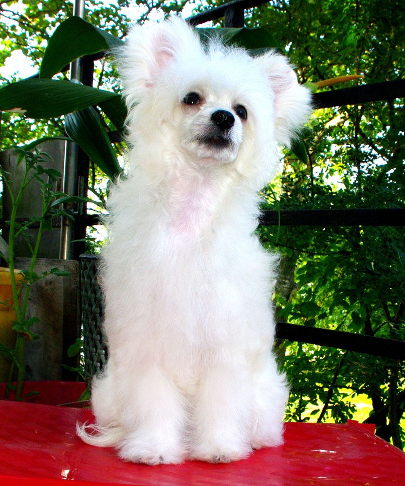 Futureline Felicie Venera Bright St