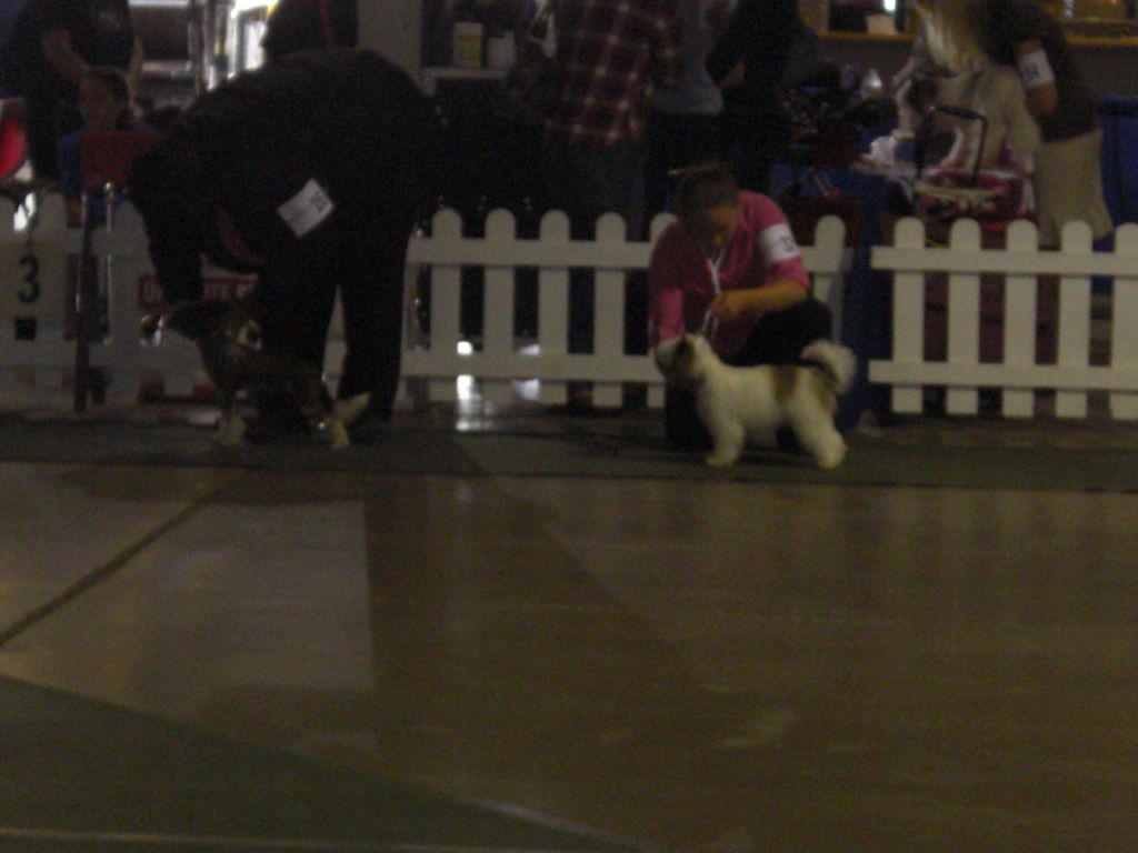 Tuff Blood's One Toke Over The Line