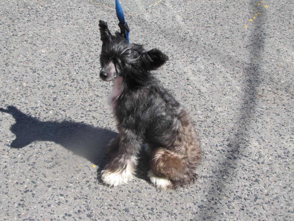 Lesmars-EverCrest 22 Caliber Woman