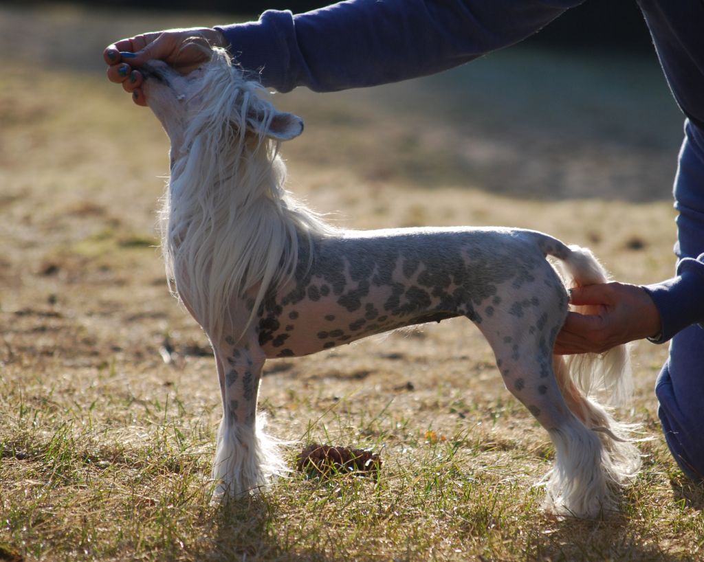 Väråsen I Will Please You