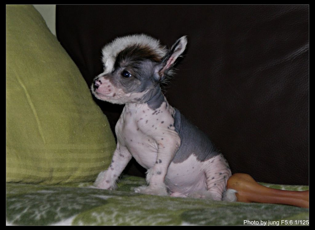 Capitan Jack Mana's Secret's