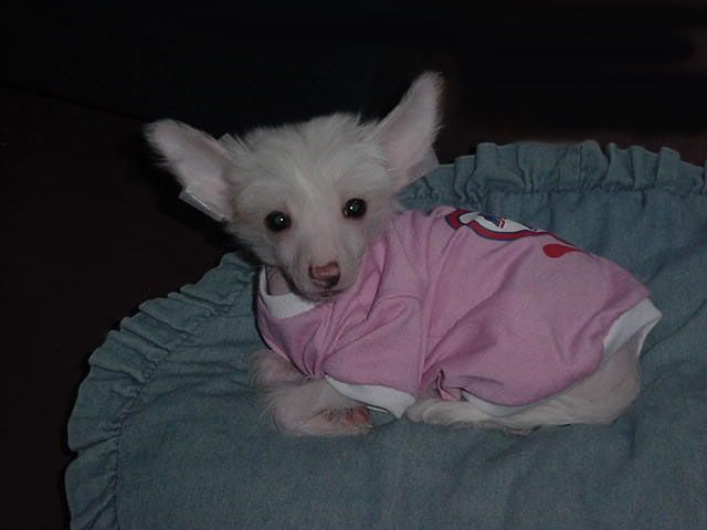 Country All Pink and Pretty