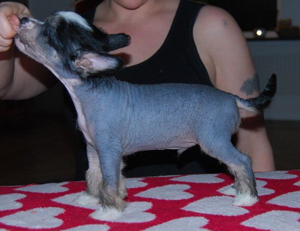 Beauty Of Xlnz Two Stars Went One