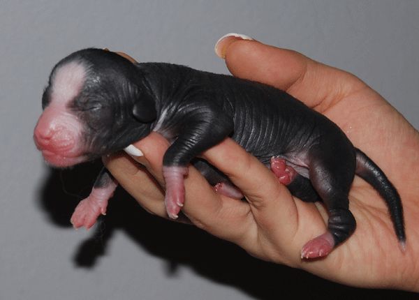 Beauty Of Xlnz Two Ways Of A Dream