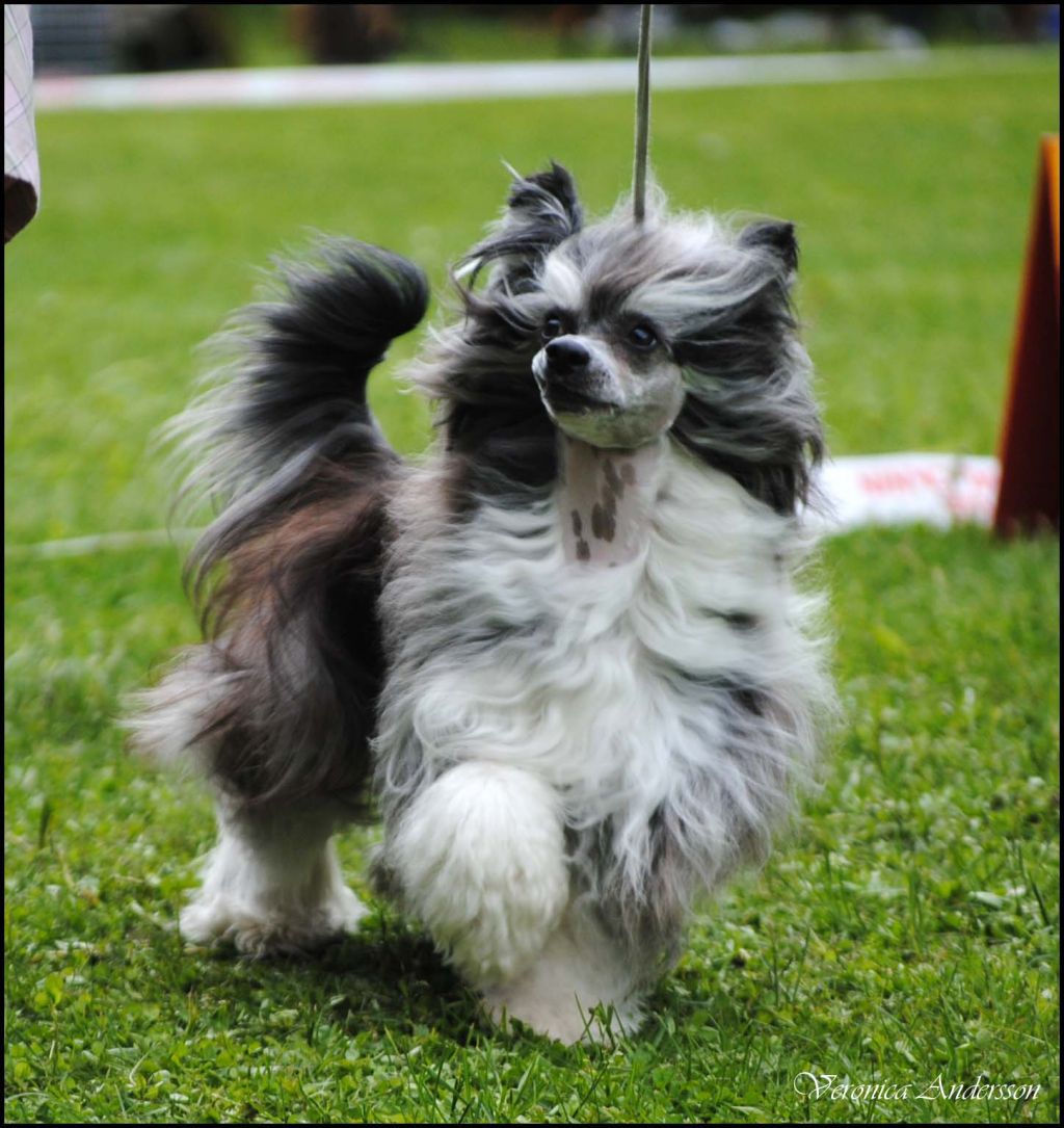 Beauty Of Xlnz Two Steps To The Top