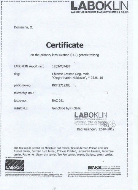 Olegro Katrin Noblesse