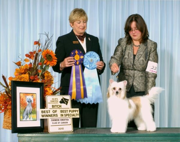 Altacrest's Butterfly Kisses