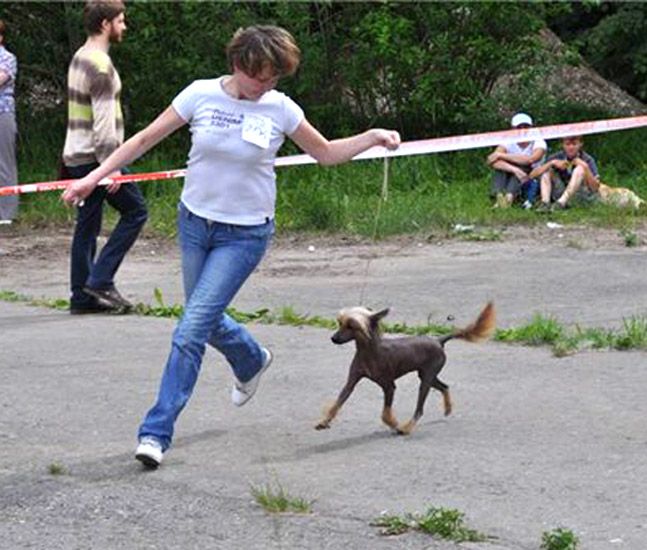 Kristal Yaniry   Lets Go