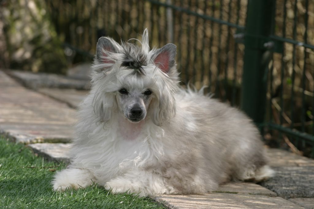 Rocket Man Pul-i-Khumri