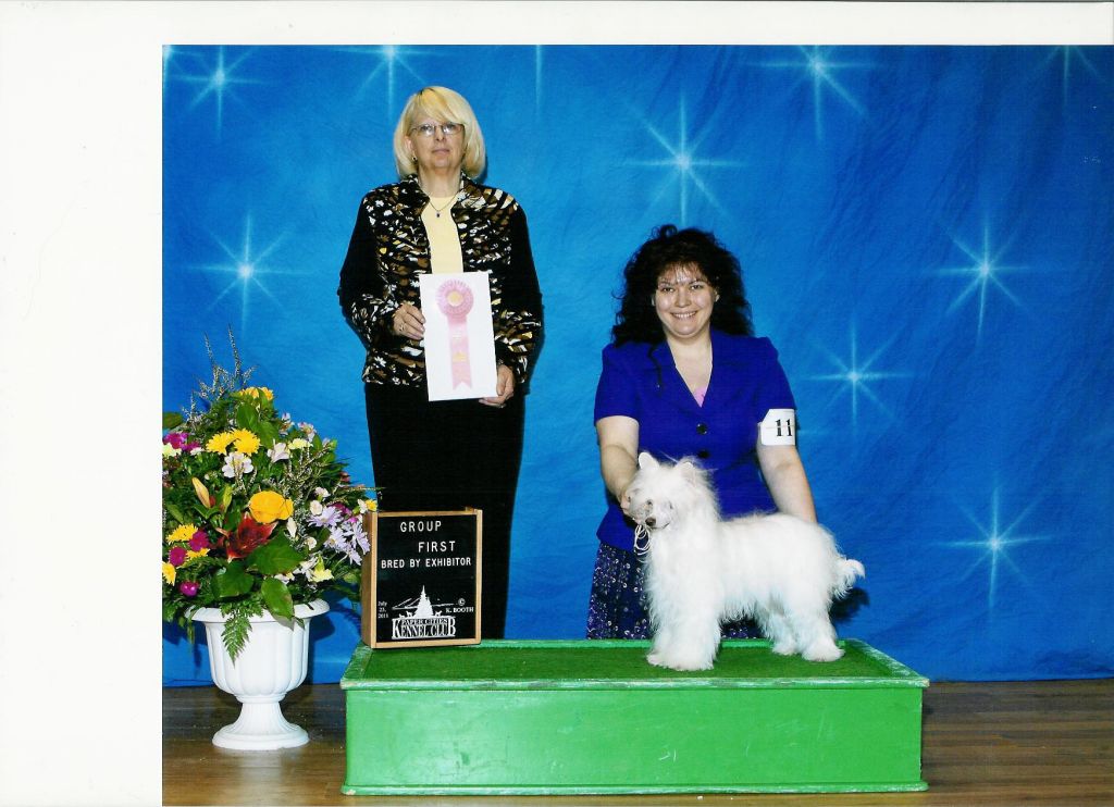 Celestial The Bananalyzer