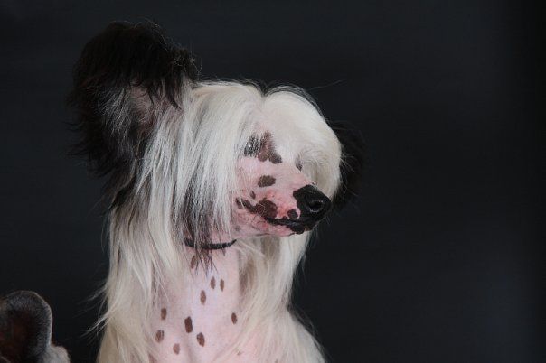 Rovanni Djekattolo Odrey Tatou