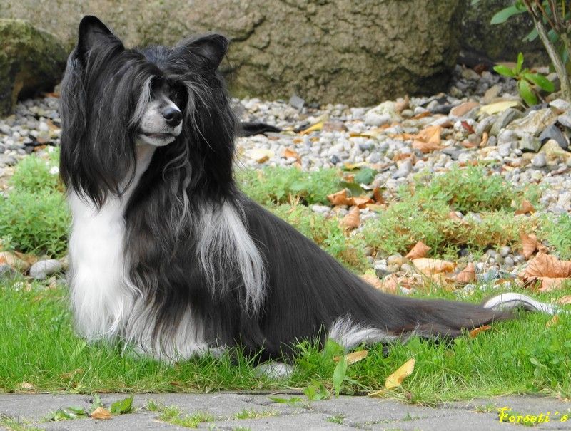 Forseti's Baywatch Babe