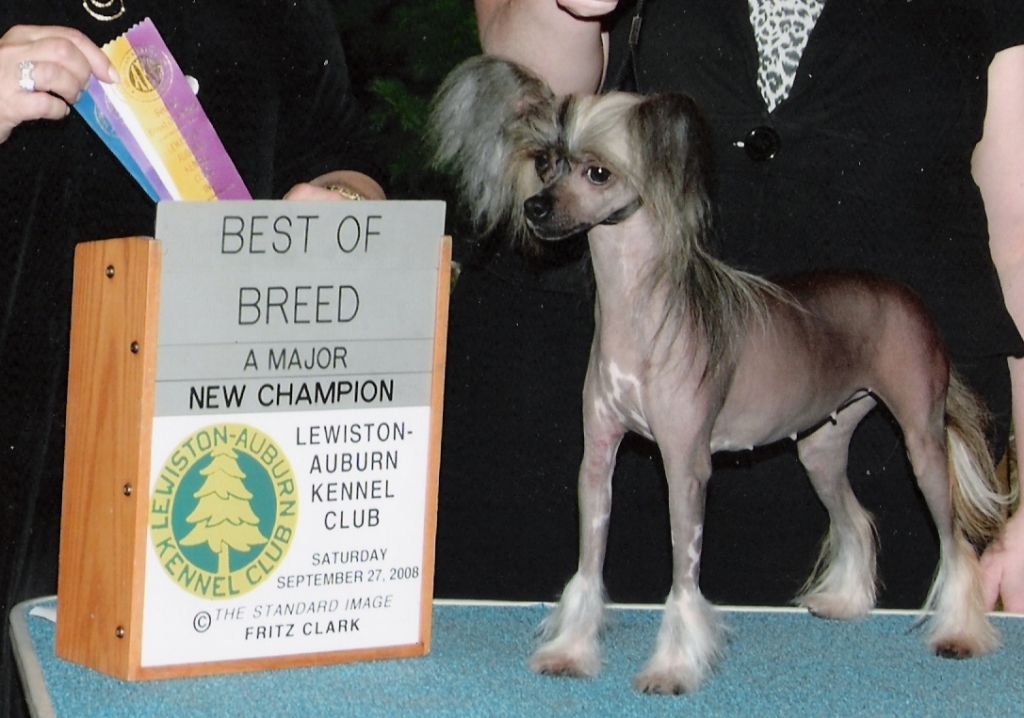 Tailgate's It's All About Me