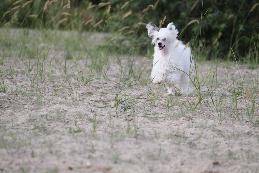 Kranar Fill the Bill