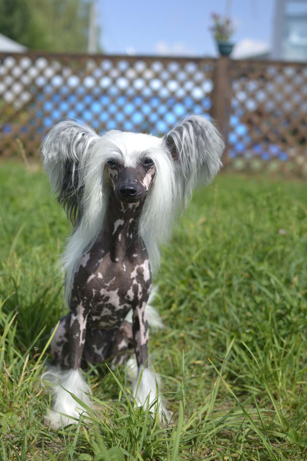 Kranar Fan the Flame