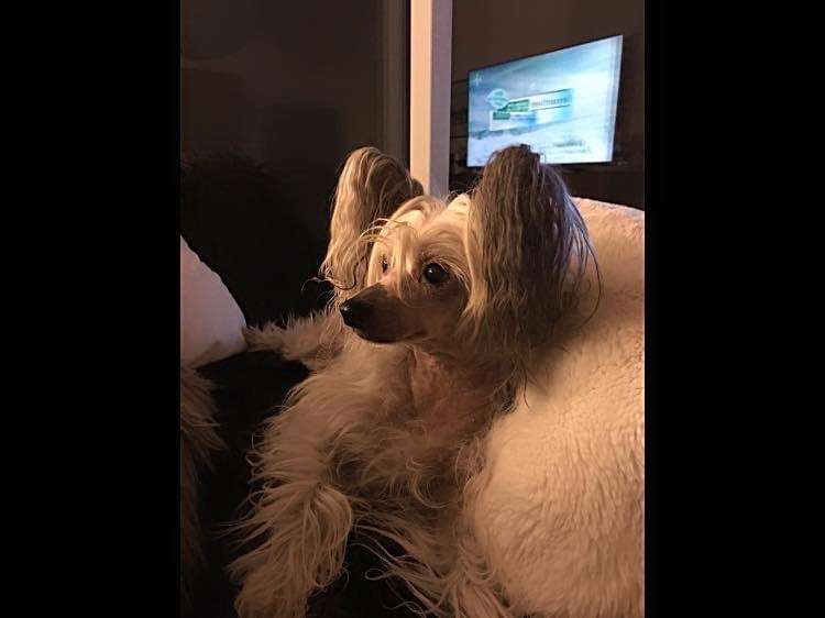 Remy Martin von Shinbashi