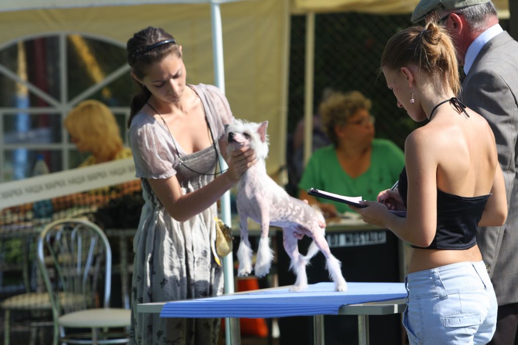 Ulard Ongofu Mashama Mazi Rus