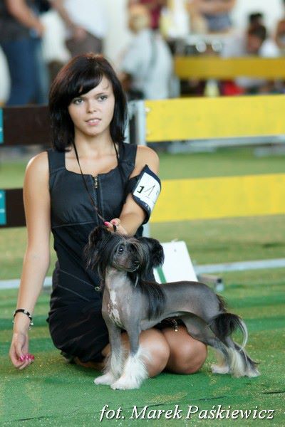 Ariel z Jastrzebiej Gory