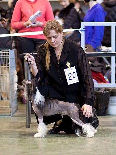 True Magnifisen Favourite