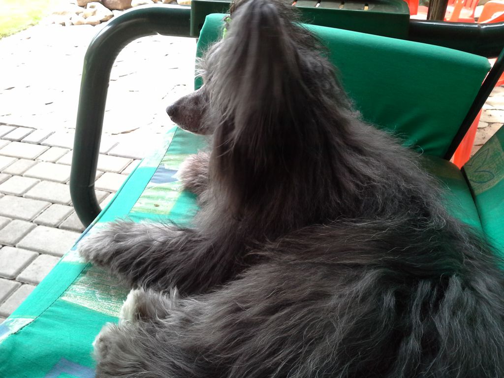 Bi-lav Plus Avangard